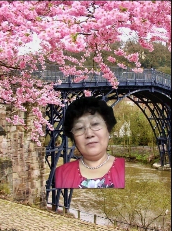 s铭的第三张照片--成都红颜知己交友网